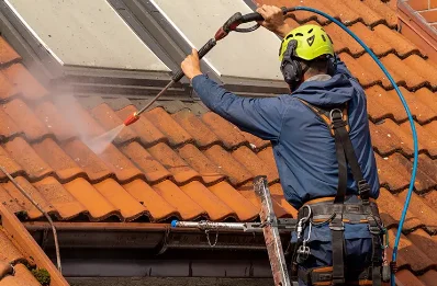 Démoussage et hydrofuge de toiture à Ally